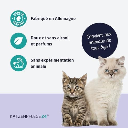 KATZENPFLEGE24 Spray antiseptique et cicatrisant octénidine chat - Désinfecte, apaise, soigne & protège tout type de plaies sans piquer la peau - 125 ml avec des substances actives éprouvé