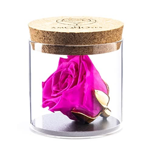 Amoroses Bijou - Rose éternelle stabilisée avec Calice plaqué Or 24K dans Un conteneur en Verre | Idée Cadeau (Rose Rose Shocking)