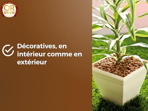 Or Brun Billes d'argile - 6L - Favorise Le Drainage & L'Humidité - Utilisable en Agriculture Biologique OBRPARG6U