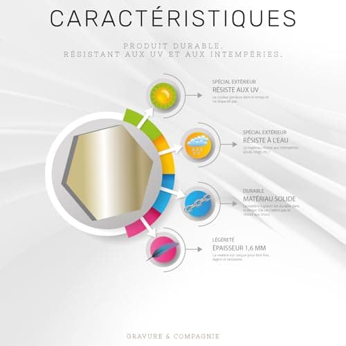 Plaque de Boîte Aux Lettres Personnalisée Adhésive PVC – 10 x 2,5 cm – Gravure Laser – 20 Couleurs Disponibles (Or Antique Métallisé)