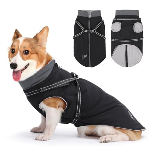 PETTOM Manteaux Chiens Imperméable avec Harnais, Manteau d'hiver Robuste et Chaud pour Chien, Vêtement Chien avec Réfléchissante pour Petits, Moyens et Grands Chiens (Noir, L)