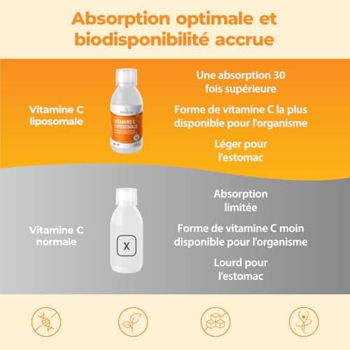 Bandini® Vitamine C Liposomale 1000 mg - Complément Liquide 250 ml - Dosage Puissant et Absorption Maximale - Système Immunitaire & Fatigue - 100% Vit C Acide Ascorbique Biodisponible - Vegan, Non-GMO
