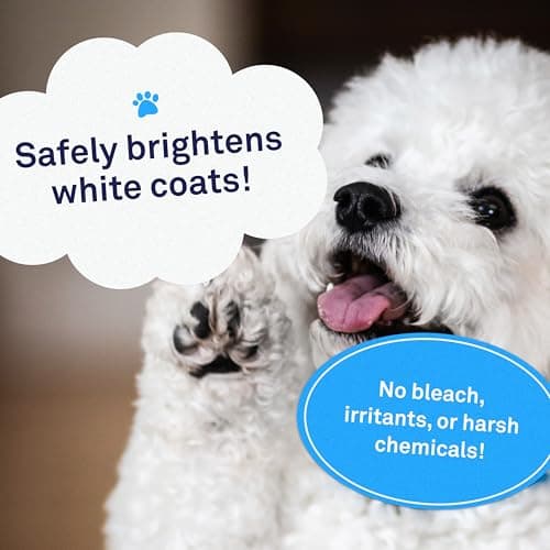 Petpost | Shampooing blanchissant pour Chiens - Le Meilleur Traitement blanchissant pour Chien à Fourrure Blanche - parfumpastèque - pour Maltais, Shih Tzu, Bichon Frise - 474 ML