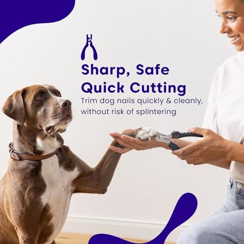 Dudi Pet Coupe Griffe et Lime pour Chien - Coupe Ongle pour Chien ou Chat avec Cran de Sécurité - Pince Coupante à Griffes ou a Ongles Chiens Chats Lapin Toutes Tailles - Large