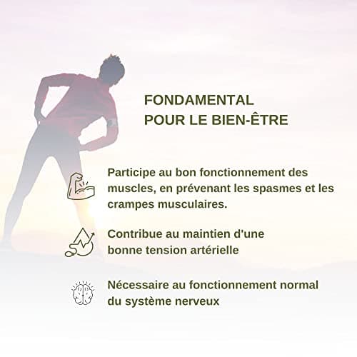 Benessence - Citrate Potassium en poudre soluble - Intégrateur Alimentaire - 250 jours d'intégration - 500 gr