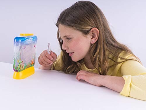 Aqua Dragons Sea Friends Colour Adventure,Jouet éducatif STEM, Aquarium Set, Grow Easy Pet for Kids,Comprend un réservoir, de nourriture, des œufs, une cuillère pour nourrir l'animal,Couleur surprise