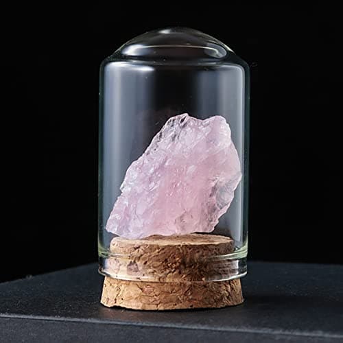 Tuzsocr Mini Pierre Précieuse Naturelle,25 PCS Ensemble de Cristaux de Guérison,Cristaux de Collection Rock and Mineral,Polies Relief,Boîte de Rangement Incluse-Jeu Scientifique et éducatif