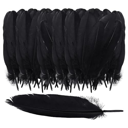 ZBHDEYG Lot de 150 plumes noires, décoration de bricolage, plumes naturelles, décoration de plumes, peuvent être utilisées pour les vêtements, les chapeaux et la décoration de meubles