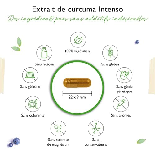 Curcuma - 180 gélules - Premium : avec 98% d'extrait - la teneur en curcumine par portion journalière correspond à 17.150 mg de curcuma - Vegan