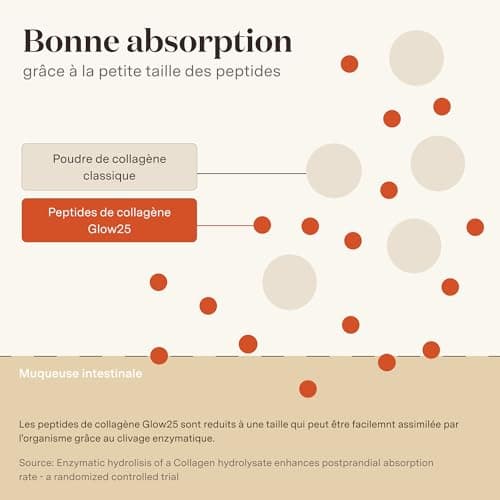 Poudre de collagène Glow25® [450g] - L'original - Collagène premium hydrolisé pur - Peptides de type 1 et 3 - Solubilité parfaite - Collagene naturel