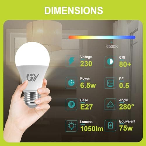 GY Ampoule LED E27 6.5W (équivalent 75W), 6500K Blanc Froid 1050 lumens, A60 Ampoules E27 LED Efficacité Energétique, Dépolie, Non-Dimmable, 6 Unité (Lot de 1)