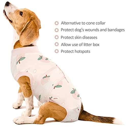 Kuoser Combinaison de convalescence chirurgicale pour chien femelle, mâle, réglable, post-chirurgie, taille XL
