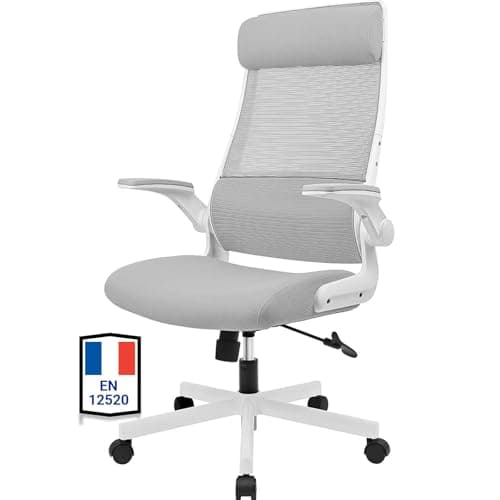 MELOKEA Chaise de Bureau Ergonomique avec Accoudoirs Rabattables,Fauteuil de Bureau Confortable avec appuie-tête réglable et Support Lombaire, Hauteur Réglable, Gris