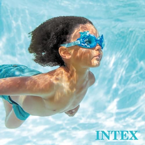 Intex Skimmer de Surface Deluxe pour autostable ou Tubulaire