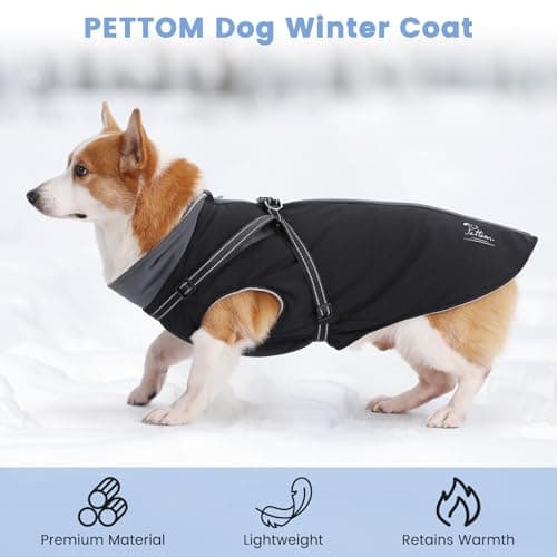 PETTOM Manteaux Chiens Imperméable avec Harnais, Manteau d'hiver Robuste et Chaud pour Chien, Vêtement Chien avec Réfléchissante pour Petits, Moyens et Grands Chiens (Noir, L)