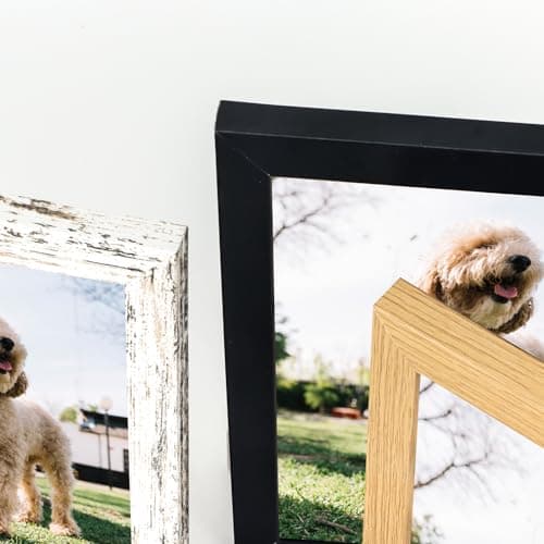 kollyseek set de 20 cadres photo 13 x 18 cm en MDF, cadre photo noir cadre portrait en verre plexi, salon pour poser et suspendre - support mural ou de table