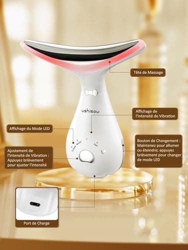 Appareil Massage Visage Anti Rides: Masseur Facial Double Menton Electrique 4 LED Couleurs - EMS Thermique 45°C 3 Mode Massage Lifting - Appareil de Beauté Raffermissement du Visage et du Cou Anti-Âge