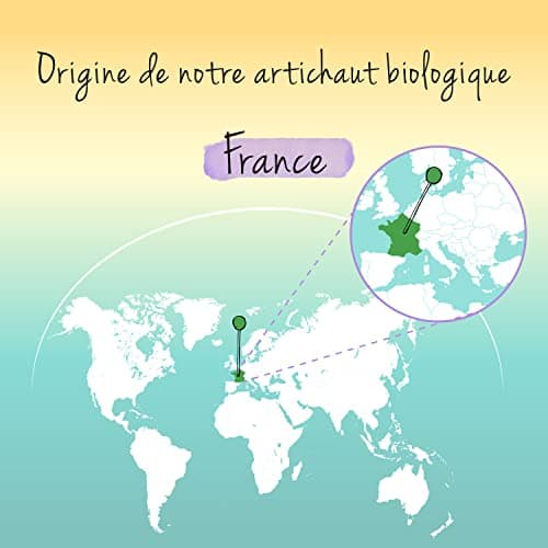 Artichaut BIO | Origine FRANCE | 2000 mg (extrait 20:1) par dose | 2,5% cynarine | Sans Additifs | Dépuratif Foie + Digestion | Testé en Laboratoire | 120 gélules | Artichoke Extract | Vegavero®