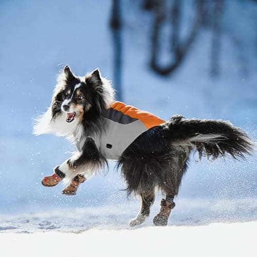 Manteau d'hiver Chien,Veste Chaude et Coupe-Vent Chien,Veste de Ski Chien Lumière LED,Gilet d'hiver Chien à Taille Ajustable,Convient Petit Moyen Grand Chiens (XL)