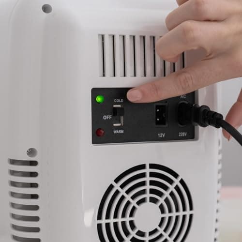 Flamingueo Mini Frigo - Petit Frigo 4L, Mini Frigo de Chambre, Frigo 12V/220V, Fonction Chaud et Froid, Mini Frigo Skincare, Frigo Cosmetique