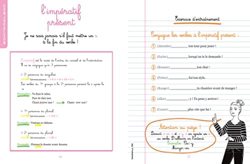 Finies les fautes: Les 101 règles de français que vous n'oublierez plus jamais