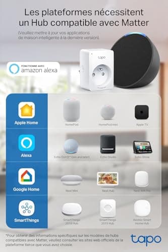 Tapo Matter Prise Connectée WiFi, Suivi de consommation, 16A Type E, Fonctionne avec Alexa, Contrôler le radiateur, le chauffage, Économie d'énergie, Tapo P110MA(FR)