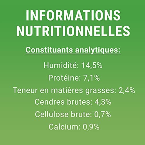DENTALIFE | Friandise à mâcher pour Chien Adulte de Grande Taille | Action nettoyante naturelle | Nettoie les dents difficiles à atteindre, Aide à combattre la mauvaise haleine | Sachet | 72 Bâtonnets
