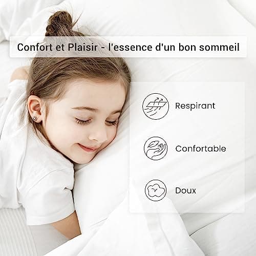MOHAP Lot de 2- Taies d'oreiller Gris 50x70cm Housse d'oreiller avec Une Fermeture Eclair en Microfibre