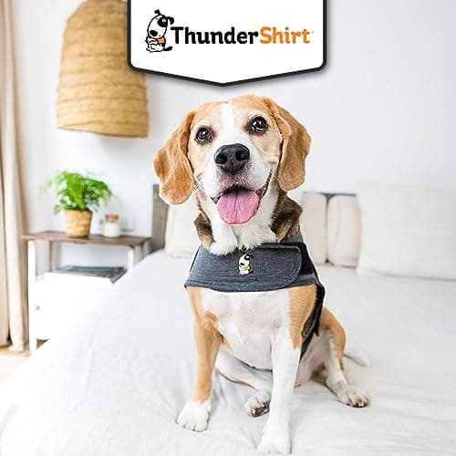 ThunderShirt Gilet relaxant pour Chiens. Rassure lors de situations stressantes. Méthode douce et naturelle. Existe en 5 tailles. Gris.
