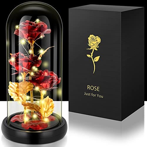 Rose Eternelle, Cadeau Saint Valentin Femme, Rose Eternelle avec LED Dans un Dôme en Verre, Cadeaux pour les Femmes,Maman, Grand-mère,Amie