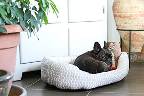 Aimé | Jouet pour Chien Hiboubou 25 cm | Jouet Chien En forme de Hibou | Peluche pour Chien Toutes Tailles et Tous Âges | Facile à Ranger et à Transporter