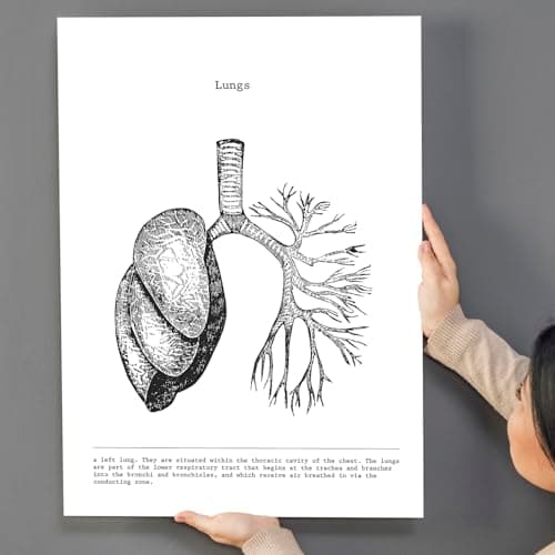 Nacnic Ensemble de 3 Affiches d'anatomie en Noir et Blanc avec des Images du Corps Humain. Pack de fiches sur la biologie avec Cœur, Cerveau et Poumons. Format A3. sans Cadre.