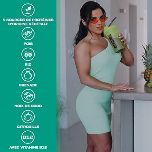 Scitec Nutrition 100% Vegan Protein - 5 sources de protéines d'origine végétale - enrichi en vitamine B12-33g par portion - Vegan, 1 kg, Noisette-Noix