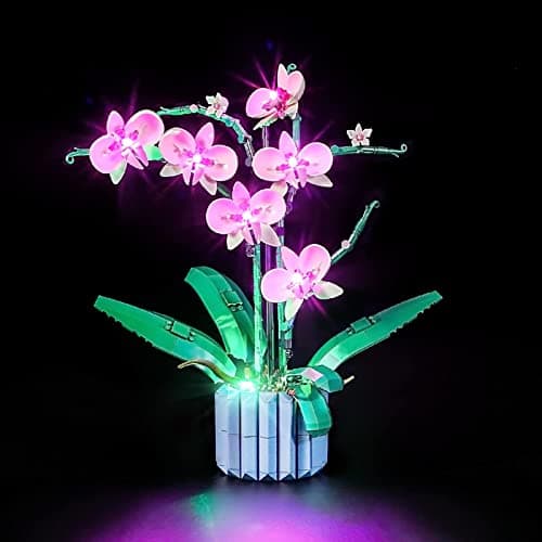 YEABRICKS LED Lumière pour Lego-10311 Creator Orchid Modèle de Blocs de Construction (Ensemble Lego Non Inclus)