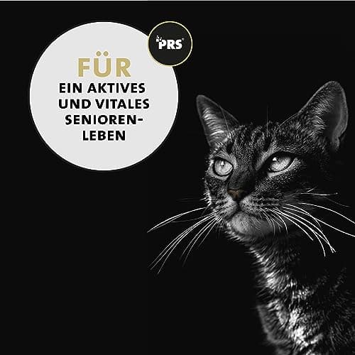 Peticare Senior Actif Vital Mix Poudre pour Chats âgés | Complément Alimentaire Naturel avec Moule Verte, MSM, Curcuma | stimule immunitaire & en Cas de carences | petCat Health 3603 (100 g)