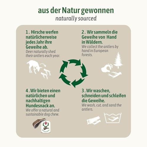 ChronoBalance® S (Lot de 1) à mâcher pour Chien : 100% Bois de cerf, Jouet à mâcher, bâton Dentaire Naturel pour Le Soin des Dents, Riche en minéraux et nutriments