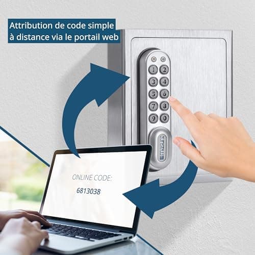 masunt Boîte à Clés Sécurisée 1140 E Code | Attribution de Code à Distance par Internet | Boîte de sécurité en Acier Inoxydable AISI 316 | Antivol | Résistant aux intempéries