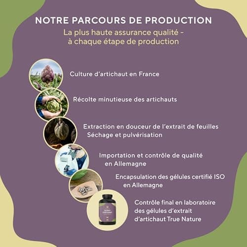 Extrait d'Artichaut Français - 2.400mg par dose avec 2,5% Cynarine - 360 Gélules, Vegan - Confort Digestif, Bien-Être du Foie & Détox - Sans: Additifs, Lactose & Gluten - TRUE NATURE