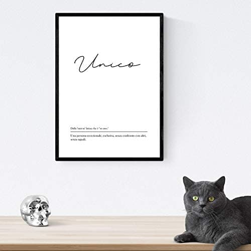 Nacnic le film avec la définition de mots en italien. Poster « Unico » des mots avec les définitions. format A3 ENCADRES