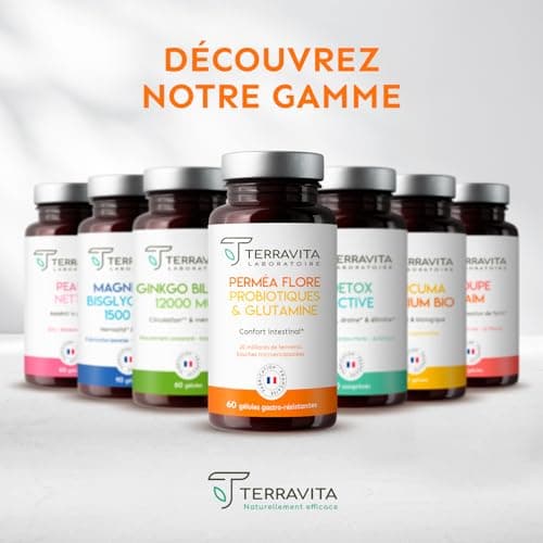 PERMEA FLORE | Probiotiques et Glutamine | Flore Intestinale et Cicatrisation de la Muqueuse | Idéal Contre la Perméabilité Intestinale | 60 Gélules Gastro-résistantes | Made in France | Terravita