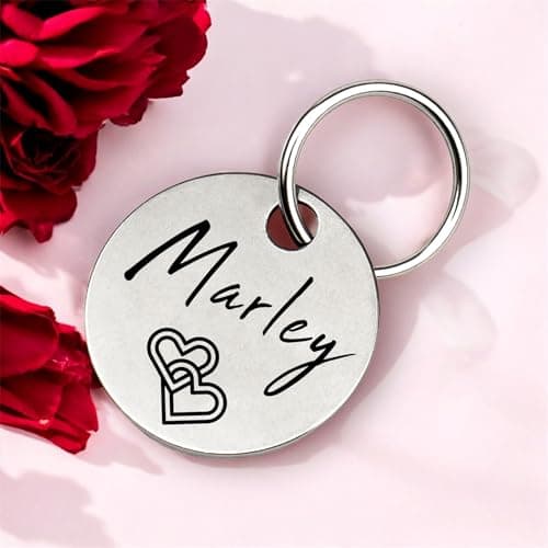 Médaille chien gravée personnalisée | nom, numéro de téléphone, écriture manuscrite, patte, cœur, les deux côtés | Étiquette de chien et chat en acier inoxydable de, pendentif nom, 23 mm