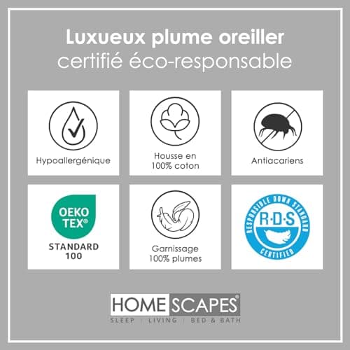 HOMESCAPES Lot de 4 Oreillers naturels en Plumes de Canard Ultra gonflants et Moelleux, 50 x 75 cm