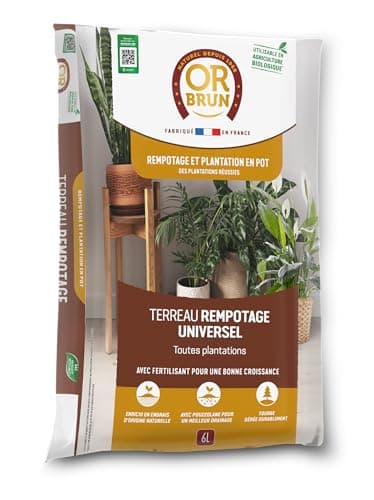 Or Brun Terreau Rempotage Universel - 6L - pour Toutes Les Plantes en Pots - Améliore la Croissance OBRTREM6U