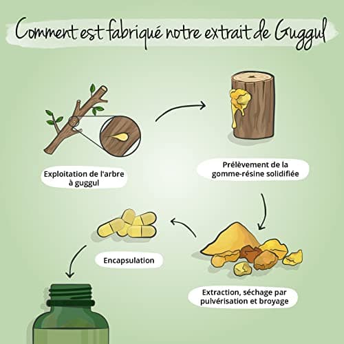 Guggul PREMIUM Vegavero® | 120 Gelules (4 mois) | 5% de Guggulstérones | Cholesterol + Antioxydant Puissant l DOSE LA PLUS ELEVEE: 500 mg d'Extrait par Gélule | Sans Additifs et VEGAN