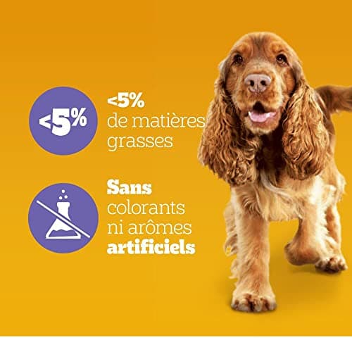 Pedigree Multivitamines Digestion Compléments Alimentaires pour Chiens - Friandises avec probiotiques, Sachet de 36x180g, Récompenses Qui aident au Maintien d'une Bonne Digestion, Facile à Manger