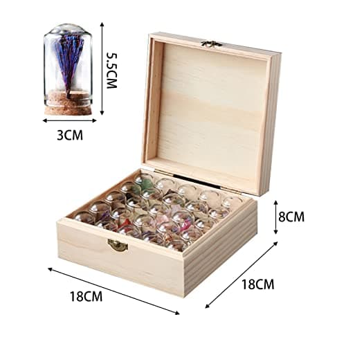 Tuzsocr Mini Pierre Précieuse Naturelle,25 PCS Ensemble de Cristaux de Guérison,Cristaux de Collection Rock and Mineral,Polies Relief,Boîte de Rangement Incluse-Jeu Scientifique et éducatif