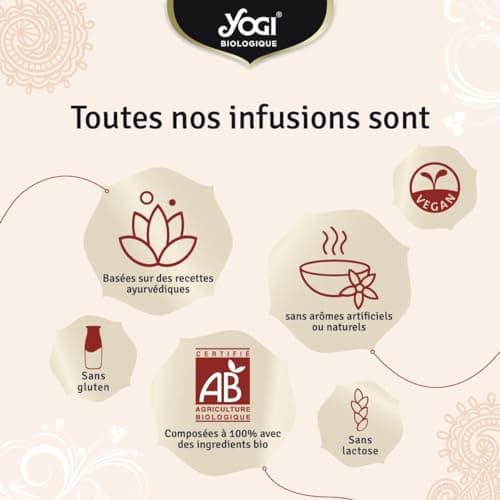 Yogi Biologique Défenses Immunitaires, Infusion 100% Bio Échinacée, Jus d'Acérola séché et Orange, 15 Sachets thermosoudés et sans agrafe, 24 g, 311016