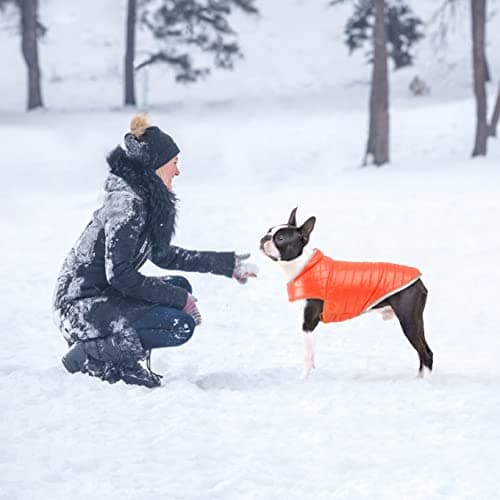 Oslueidy Manteau de Chien réversible, Veste de Chien d'hiver Chaud Gilet de Chiot étanche Vêtements pour Animaux de Compagnie pour Animaux de Compagnie pour Petits Chiens de Grande Taille Moyenne