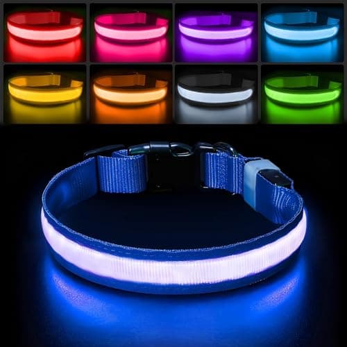 PcEoTllar Collier Lumineux Chien, Collier Chien LED Rechargeable et Etanche Clignotant, Collier Chien Fluorescent avec 7 Couleurs, Sécurité avec Réglable pour Petits Moyens Gros Chiens, Bleu-M