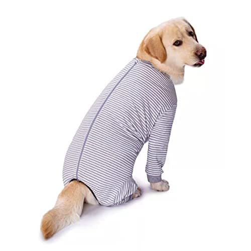 Yeapeeto Body Chien Post Operatoire Combinaison de Convalescence chirurgicale pour Chiens de Grande Taille et Moyenne (Gris,2XL)